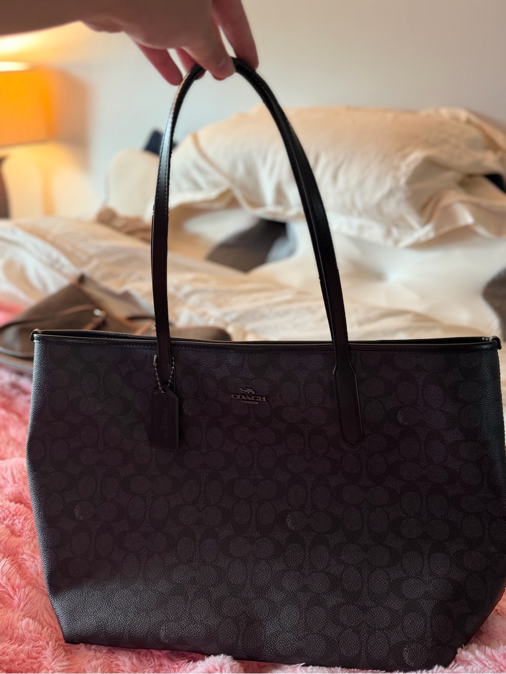 Coach Brown Signature Tote